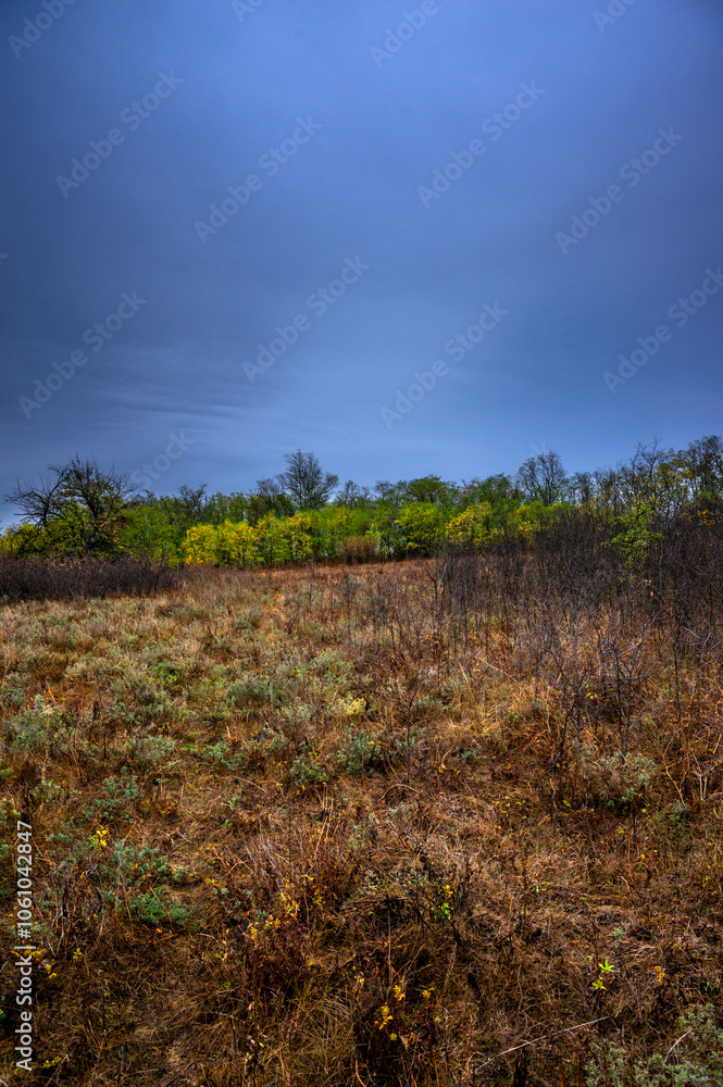 Obraz premium Landscape photography on the field with big and smooth clouds in the sky,Stormy weather on the picture.Big blue clouds iver the forest nd field, morning landscape in the woodlands.Aurumn blue hour,