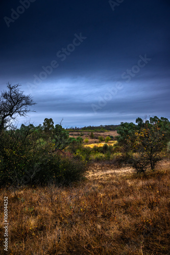 Landscape photography on the field with big and smooth clouds in the sky,Stormy weather on the picture.Big blue clouds iver the forest nd field, morning landscape in the woodlands.Aurumn blue hour, photo