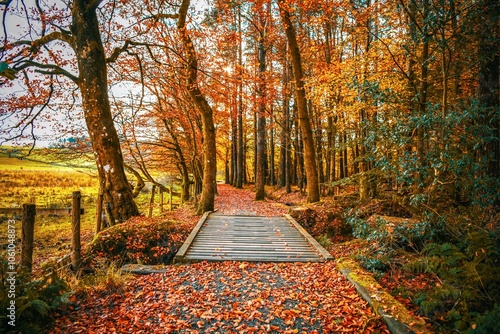 Path through the Eskrigg Reserve in Scotland photo