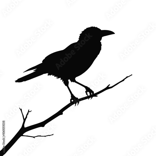 a black and white silhouette of a crow perched on a tree branch. photo