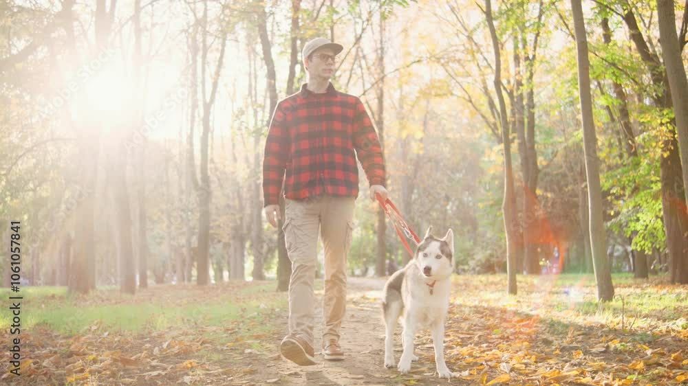 A man is happily walking his dog along a colorful and vibrant autumn forest path, enjoying the beautiful natural scenery around them A man is happily walking his dog along a colorful and vibrant autumn forest path, enjoying the beautiful natural scenery around them