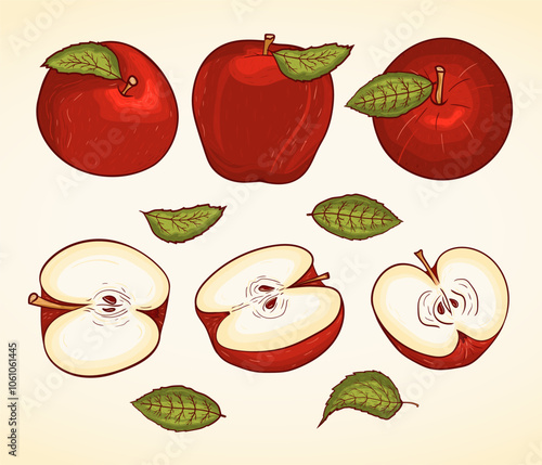 Red apple set vector illustration.