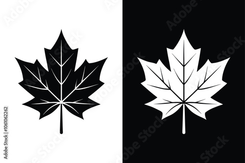 Maple leaf icon. Canada flag sign. National Canadian emblem. Black maple leaf Canada icon sign vector design on white background.