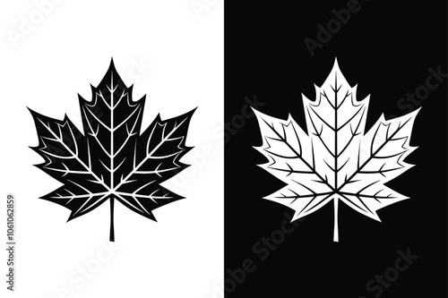 Maple leaf icon. Canada flag sign. National Canadian emblem. Black maple leaf Canada icon sign vector design on white background.
