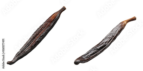 Dried Vanilla Pods Isolated on White Background Vanilla Bean Spice Flavoring Essence Extract Aromatic Ingredient for Baking and Cooking Confectionery Culinary Concept Close-up Detailed Studio Shot