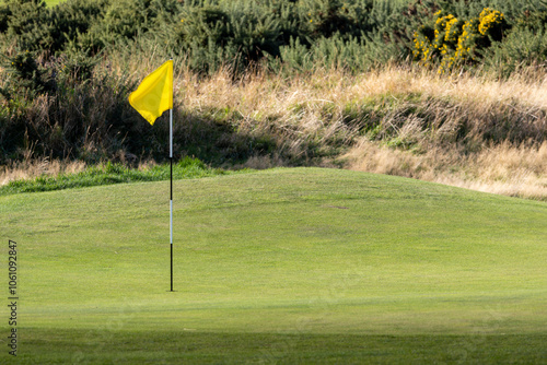 A yellow flag is on a green golf field