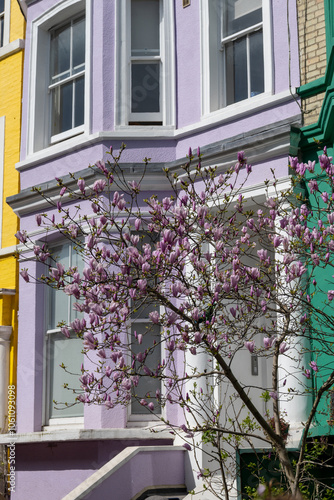 Touristic route on Notting Hill, walking on streets with colourful houses, Portobello road, city life, wealthy neighbourhoods in London, UK photo