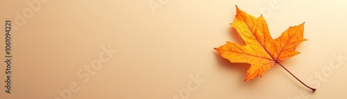 Wallpaper Mural Single Orange Maple Leaf on Beige Background Torontodigital.ca