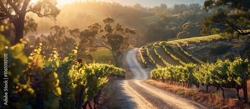 Stunning panoramic view of a picturesque vineyard landscape with a winding dirt road leading through the rolling hills and lush green vines bathed in the warm golden glow of the sunset  Idyllic