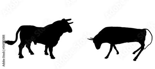Bullfights bull battle vector silhouette illustration isolated. Breeding bull shape shadow quality genetic material insemination. Organic food. Strong animal powerful bull horns fighting in corrida.