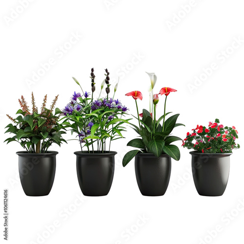 flower in pot isolated on transparent background, png elements collection.