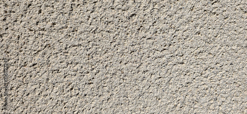 Wallpaper Mural texture bark beetle white color for background Torontodigital.ca