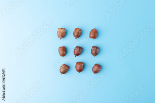 acorns without caps, blanks for crafts on blue background, top view, part of creative process, activity for kids, tutorial, image of lesson,