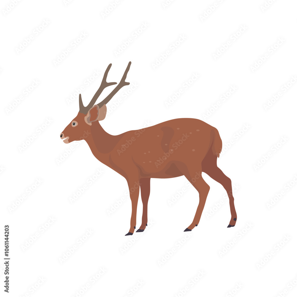 Obraz premium Vector illustration of deer in cartoon flat style. Male or female deer wild life animal isolated in white background. Cute different poses deer with long horns for logo, icon, infographic, symbol