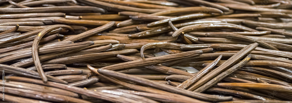 Vanilla in La Reunion in the Indian Ocean, black pods drying Vanilla in La Reunion in the Indian Ocean, black pods drying