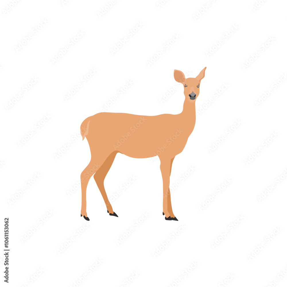 Vector illustration of deer in cartoon flat style. Male or female deer wild life animal isolated in white background. Cute different poses deer with long horns for logo, icon, infographic, symbol Vector illustration of deer in cartoon flat style. Male or female deer wild life animal isolated in white background. Cute different poses deer with long horns for logo, icon, infographic, symbol