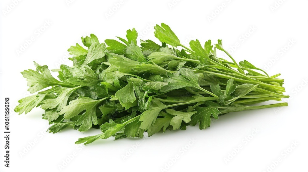 Fresh Parsley Sprigs on White Background, Healthy Green Herbs for Cooking and Nutrition, Isolated Parsley Leaves Fresh Parsley Sprigs on White Background, Healthy Green Herbs for Cooking and Nutrition, Isolated Parsley Leaves
