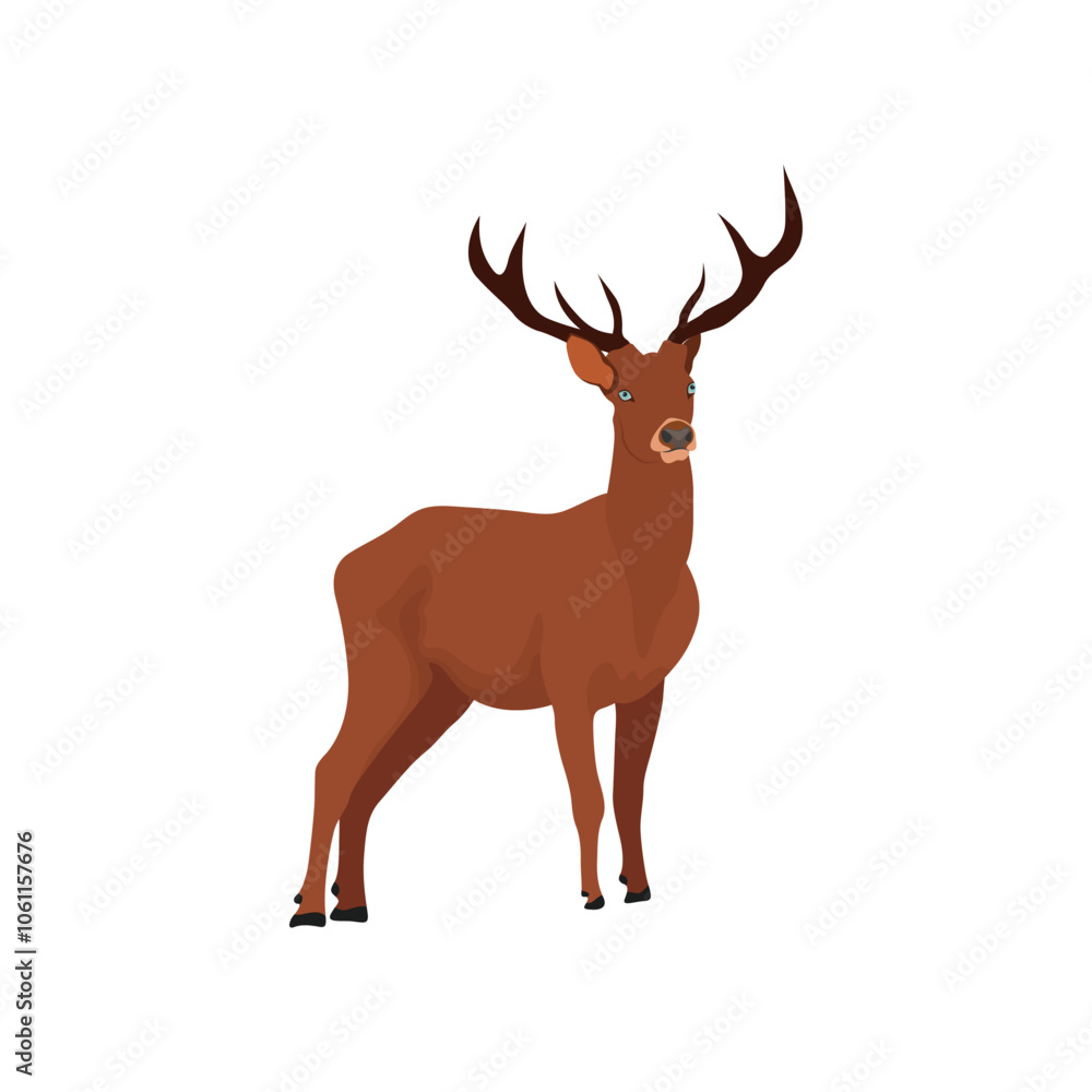 Vector illustration of deer in cartoon flat style. Male or female deer wild life animal isolated in white background. Cute different poses deer with long horns for logo, icon, infographic, symbol Vector illustration of deer in cartoon flat style. Male or female deer wild life animal isolated in white background. Cute different poses deer with long horns for logo, icon, infographic, symbol