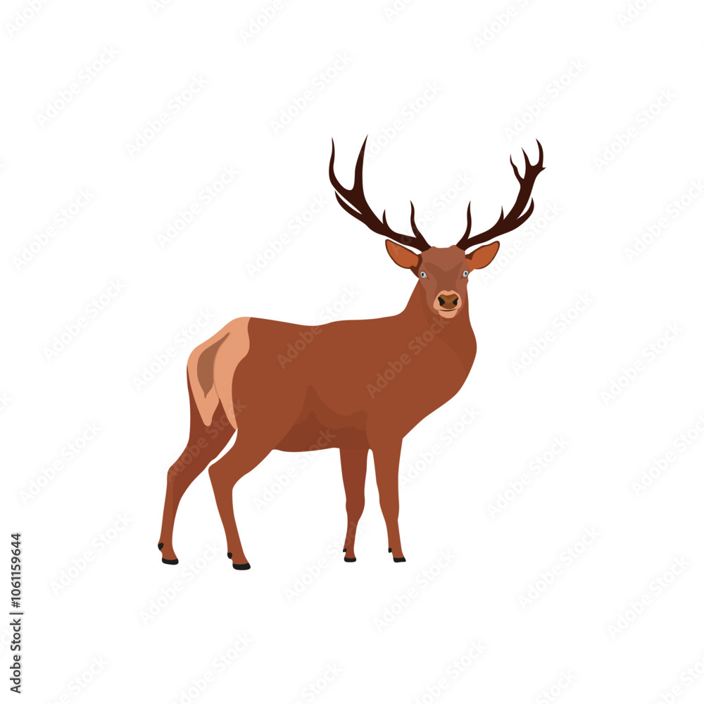 Vector illustration of deer in cartoon flat style. Male or female deer wild life animal isolated in white background. Cute different poses deer with long horns for logo, icon, infographic, symbol Vector illustration of deer in cartoon flat style. Male or female deer wild life animal isolated in white background. Cute different poses deer with long horns for logo, icon, infographic, symbol