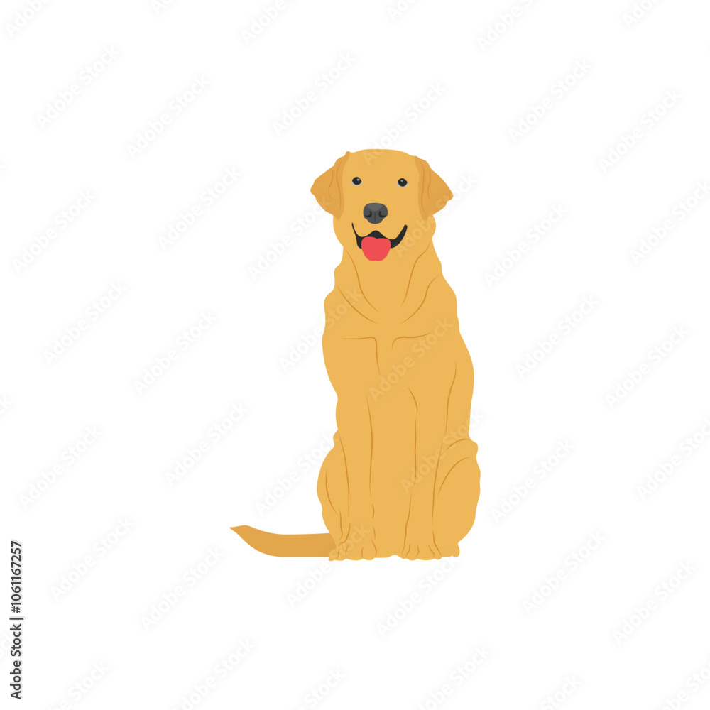 Obraz premium Vector illustration of labrador retriever dog in cartoon flat style. Dog behavior, body language and face expressions. Cute yellow labrador retriever. Pet animal