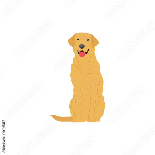 Vector illustration of labrador retriever dog in cartoon flat style. Dog behavior, body language and face expressions. Cute yellow labrador retriever.
Pet animal