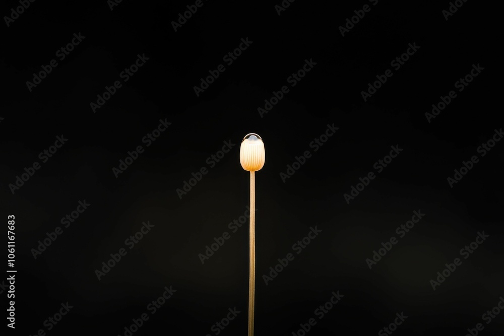 A single matchstick is lit on fire in a dark room A single matchstick is lit on fire in a dark room