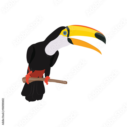 Vector illustration of toucan bird in cartoon flat style. Single colorful tropical bird wildlife animal. Pet Ramphastos toco isolated for digital resources, icon, logo, etc