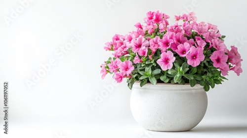 Wallpaper Mural plant in a vase Torontodigital.ca