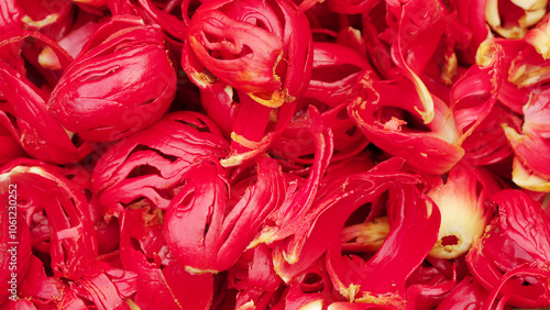 Quadro su tela vivid red mace from nutmeg spice harvest, fresh
