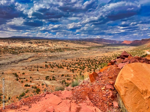 Spring View from Comb Ridge in Utah. photo