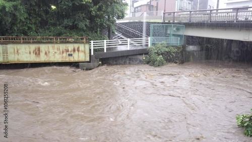 氾濫しそうな葛川の濁流