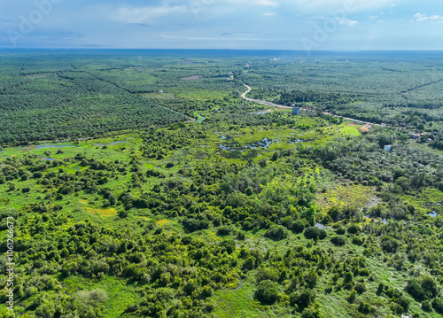 Natural scenery of rural areas, aerial view of green expanse of scrubland and oil palm plantations. Located in Kota Waringin Timur, Central Kalimantan, Indonesia.