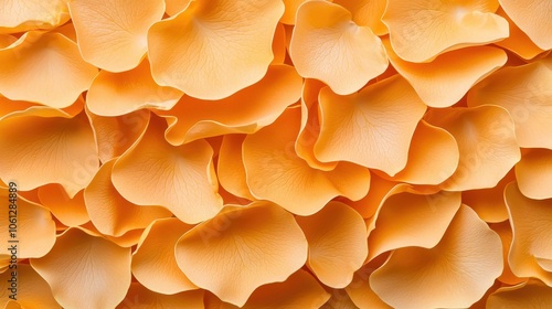 Soft Peach Rose Petals Background for Creative Projects