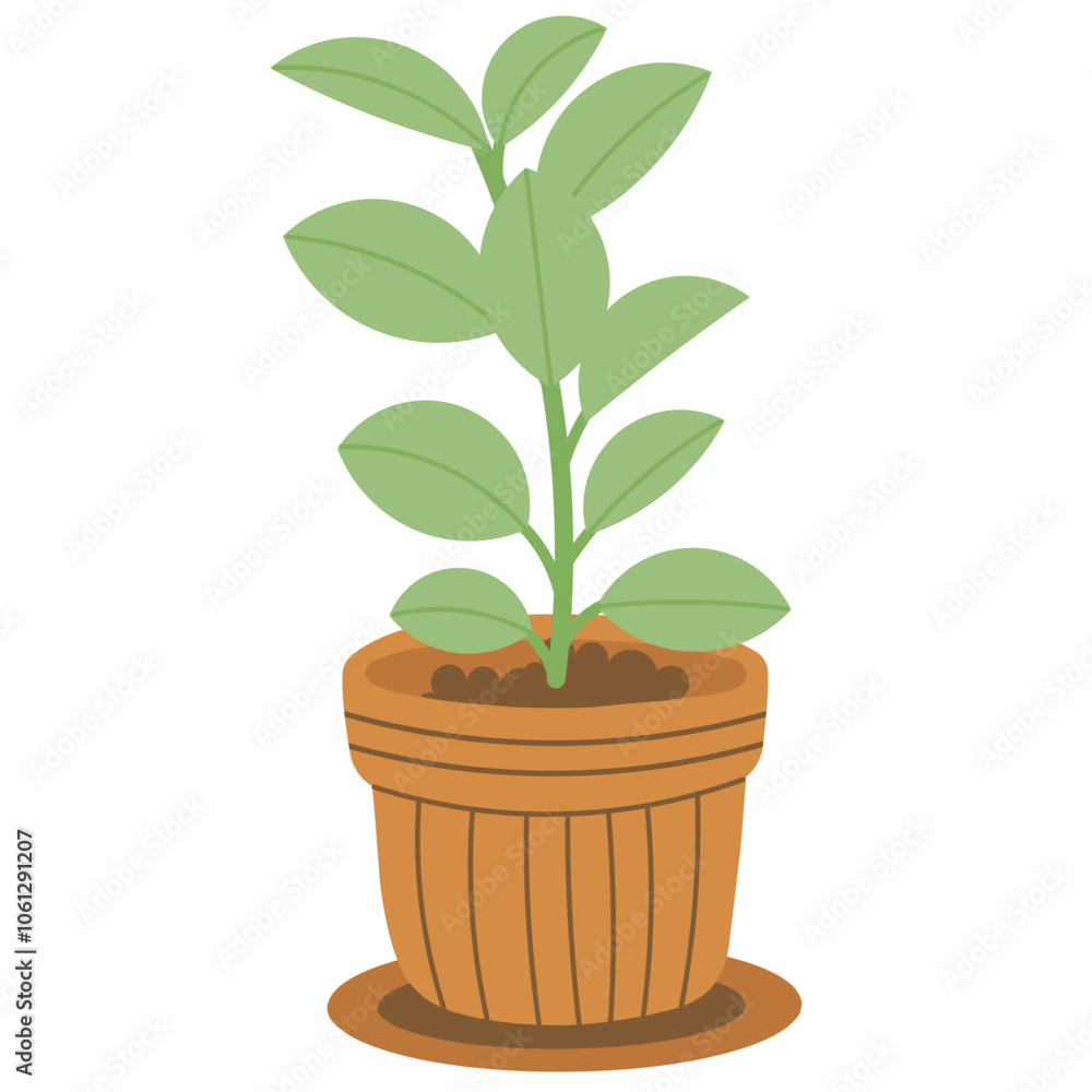 Fototapeta premium Rubber Plant Illustration