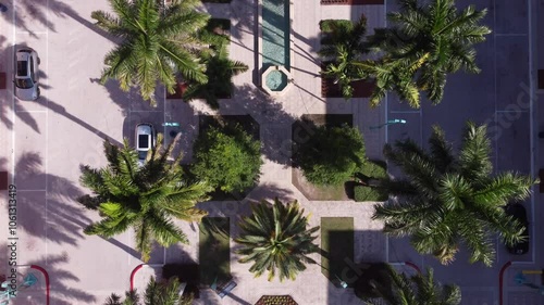 Aerial view of a Boca Raton street with beautiful palm trees.