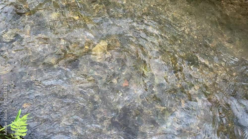 Soft calming ripples on the surface of water with river stones background Soft calming ripples on the surface of water with river stones background