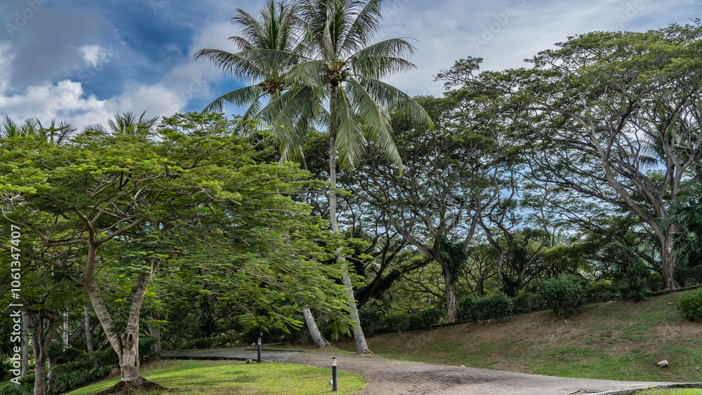 A paved path in a tropical park. Deciduous and palm trees grow on a green lawn. Blue sky, clouds. Malaysia. Borneo. Kota Kinabalu. A paved path in a tropical park. Deciduous and palm trees grow on a green lawn. Blue sky, clouds. Malaysia. Borneo. Kota Kinabalu.