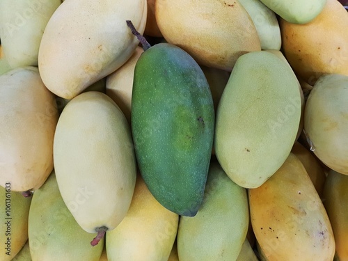 Odd One Out. Flat lay of a odd green mango among yellow mango. Concept for being unique, different and stand out from the crowd photo