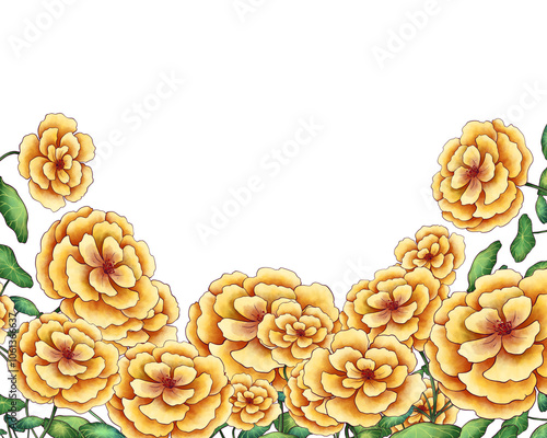 Illustration Colorful Floral Border Frame Background for Banner, Wedding Card, Card Template. Isolated on White Background