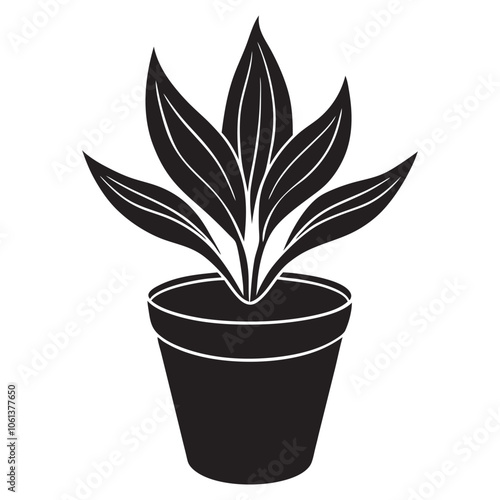 Modern Pot Plant Vector Silhouette  isolated on white background