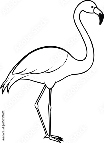 Flamingo Bird Black and White Line Art Illustration