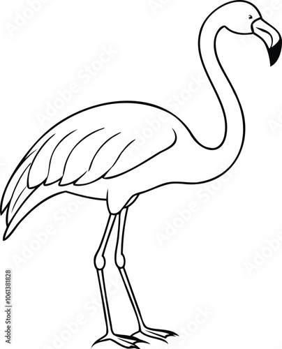 Flamingo Bird Black and White Line Art Illustration