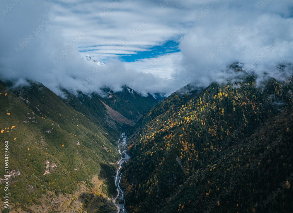 Aerial view of beautiful snow capped mountains and autumn forest landscape Aerial view of beautiful snow capped mountains and autumn forest landscape