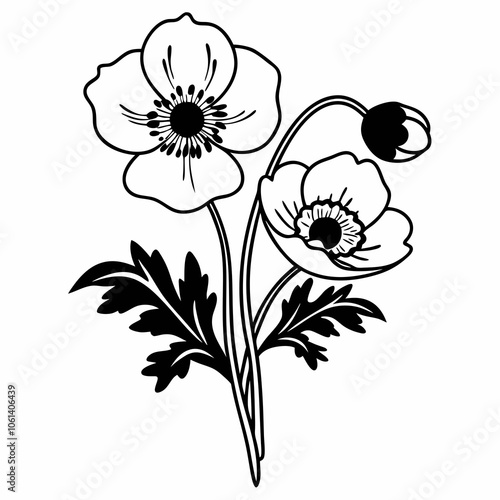 Anemone Line Art Vector