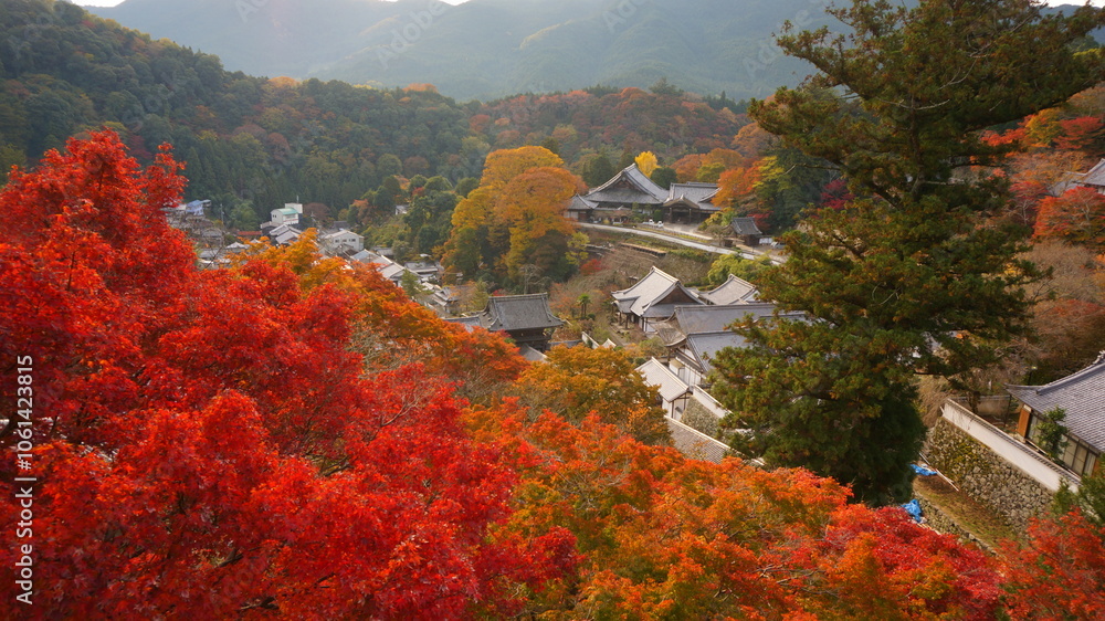 紅葉の長谷寺 紅葉の長谷寺
