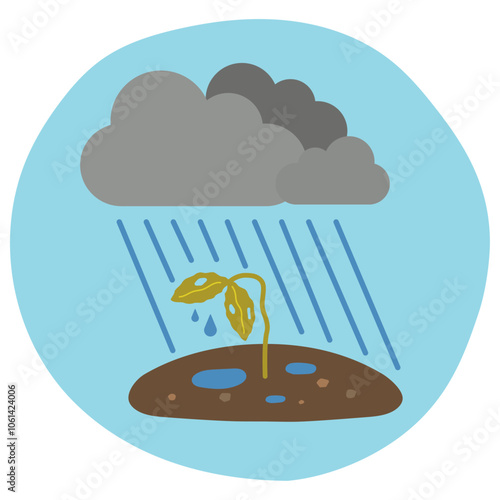大雨の被害を受けた農作物