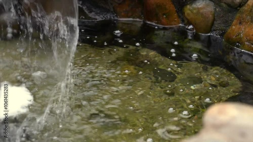 Wallpaper Mural a fountain in a pond Torontodigital.ca