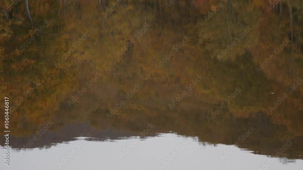 曇りの日の、カラフルな紅葉が反射している湖の水面 曇りの日の、カラフルな紅葉が反射している湖の水面
