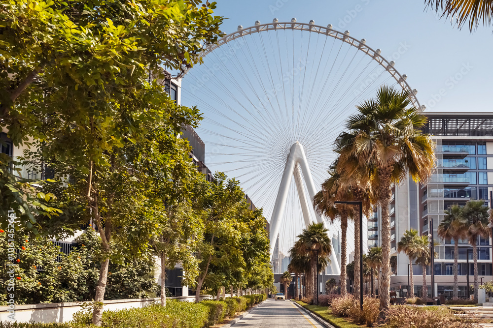 Fototapeta premium Dubai. One of the most largest ferrris wheel in the world - Ain Dubai in United Arab Emirates.