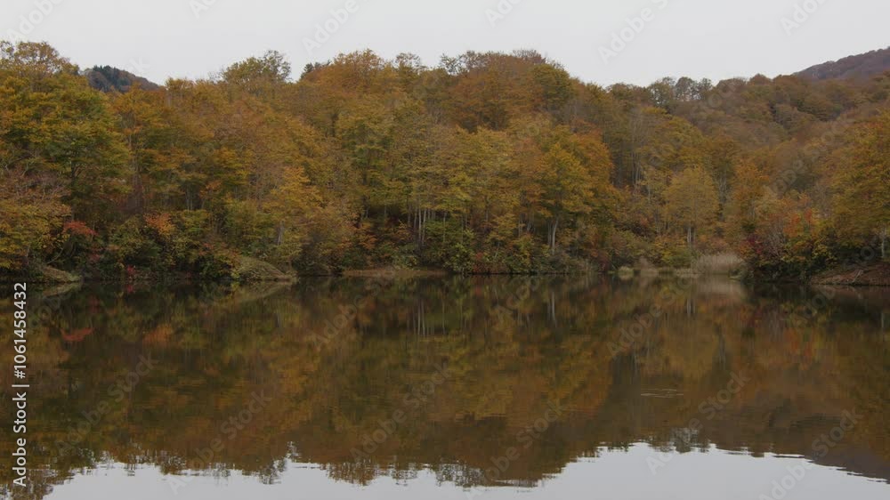 曇りの日の、カラフルな紅葉と、紅葉が反射している湖 曇りの日の、カラフルな紅葉と、紅葉が反射している湖